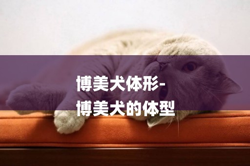 博美犬體形-
博美犬的體型