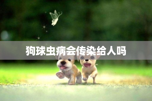 狗球蟲病會傳染給人嗎