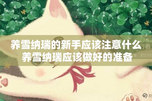 養雪納瑞的新手應該注意什么 養雪納瑞應該做好的準備