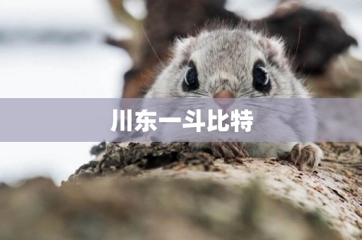 川東一斗比特