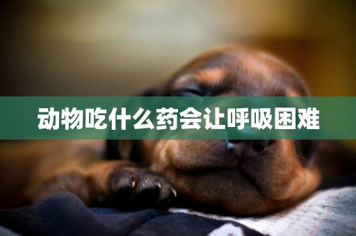 動物吃什么藥會讓呼吸困難