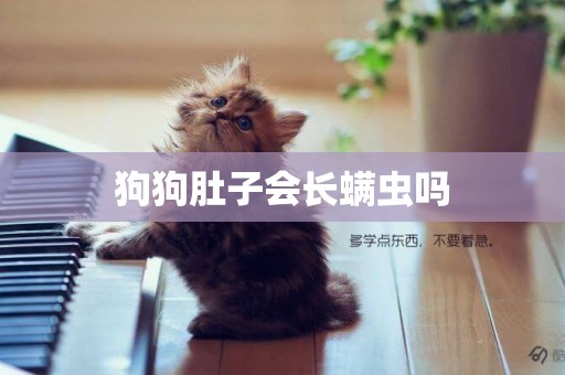 狗狗肚子會長螨蟲嗎