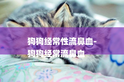 狗狗經常性流鼻血-
狗狗經常流鼻血