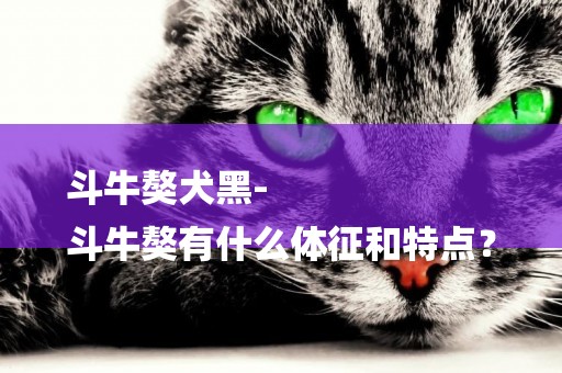 斗牛獒犬黑-
斗牛獒有什么體征和特點？