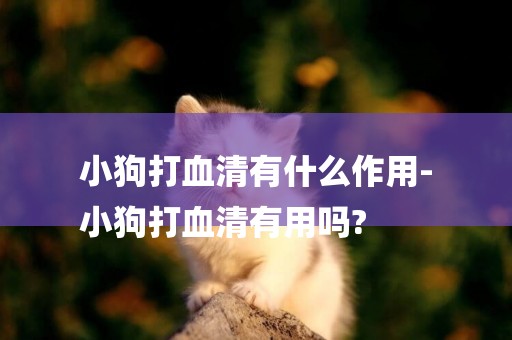 小狗打血清有什么作用-
小狗打血清有用嗎?