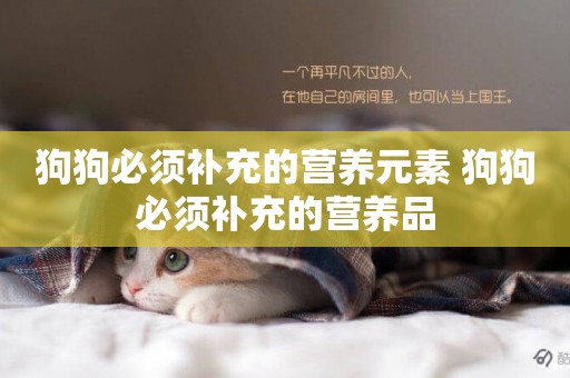 狗狗必須補充的營養元素 狗狗必須補充的營養品