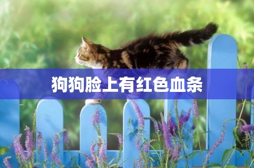 狗狗臉上有紅色血條
