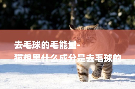 去毛球的毛能量-
貓糧里什么成分是去毛球的