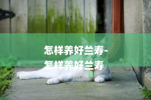 怎樣養好蘭壽-
怎樣養好蘭壽