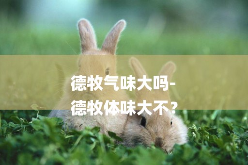 德牧氣味大嗎-
德牧體味大不？