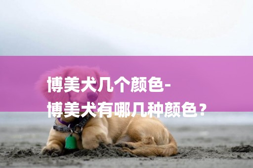 博美犬幾個顏色-
博美犬有哪幾種顏色？