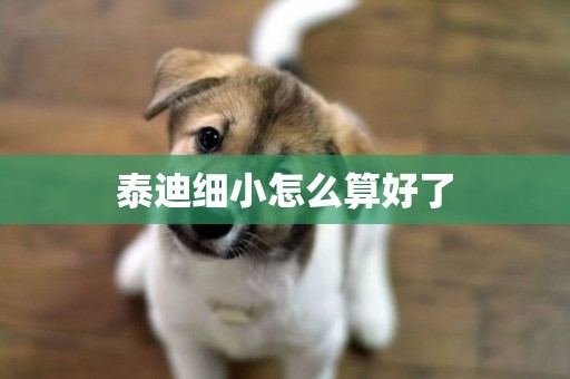 泰迪細小怎么算好了
