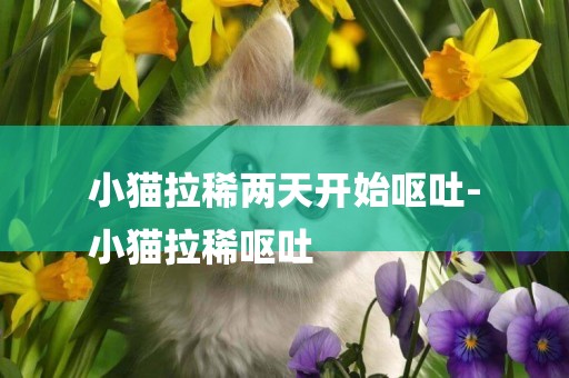 小貓拉稀兩天開始嘔吐-
小貓拉稀嘔吐