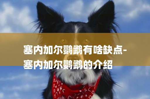 塞內加爾鸚鵡有啥缺點-
塞內加爾鸚鵡的介紹