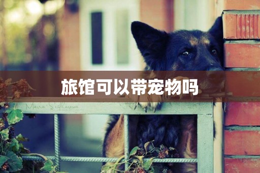 旅館可以帶寵物嗎