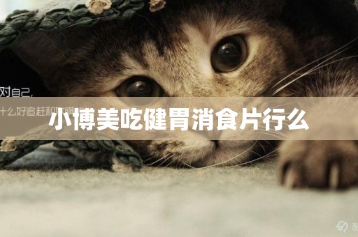 小博美吃健胃消食片行么
