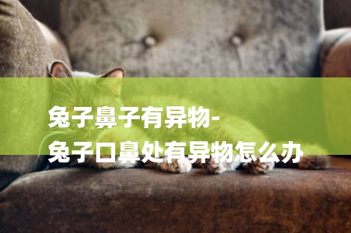 兔子鼻子有異物-
兔子口鼻處有異物怎么辦