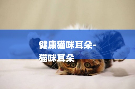 健康貓咪耳朵-
貓咪耳朵