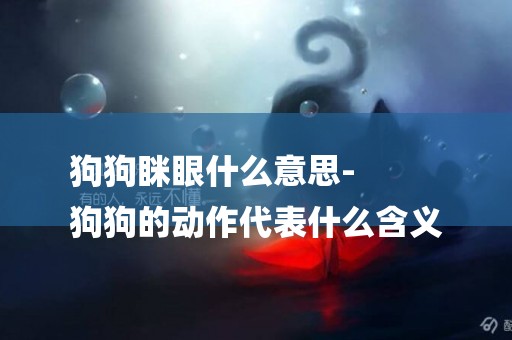 狗狗瞇眼什么意思-
狗狗的動作代表什么含義