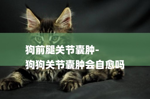 狗前腿關節囊腫-
狗狗關節囊腫會自愈嗎