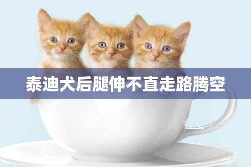 泰迪犬后腿伸不直走路騰空
