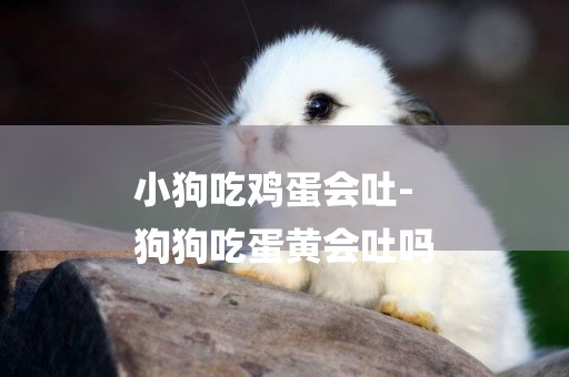 小狗吃雞蛋會吐-
狗狗吃蛋黃會吐嗎