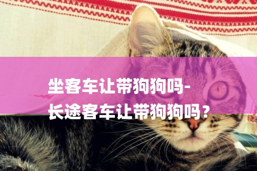 坐客車讓帶狗狗嗎-
長途客車讓帶狗狗嗎？