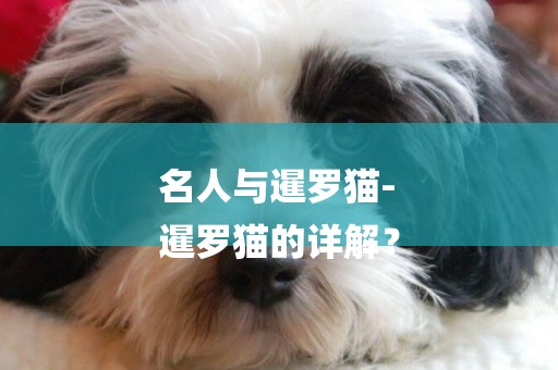 名人與暹羅貓-
暹羅貓的詳解？