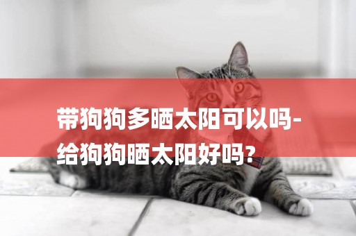 帶狗狗多曬太陽可以嗎-
給狗狗曬太陽好嗎?