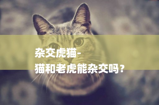 雜交虎貓-
貓和老虎能雜交嗎？