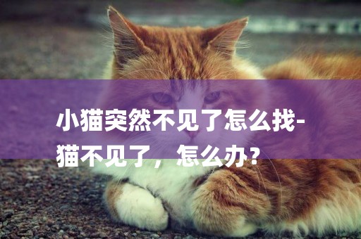 小貓突然不見了怎么找-
貓不見了，怎么辦？