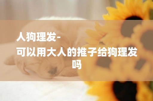 人狗理發-
可以用大人的推子給狗理發嗎