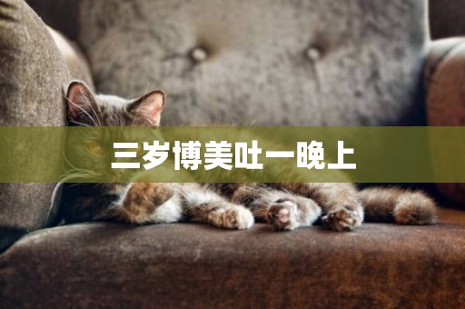 三歲博美吐一晚上