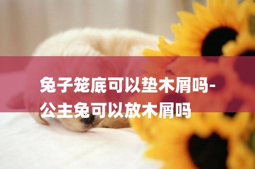 兔子籠底可以墊木屑嗎-
公主兔可以放木屑嗎