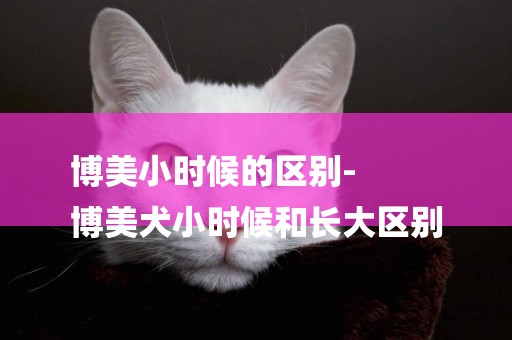 博美小時候的區別-
博美犬小時候和長大區別