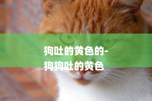 狗吐的黃色的-
狗狗吐的黃色