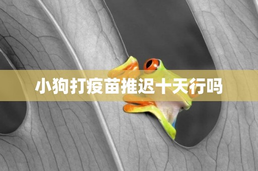 小狗打疫苗推遲十天行嗎