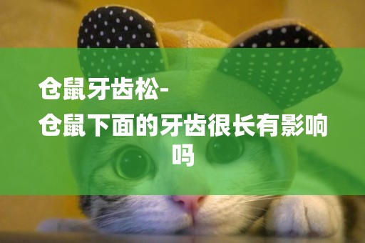 倉鼠牙齒松-
倉鼠下面的牙齒很長有影響嗎