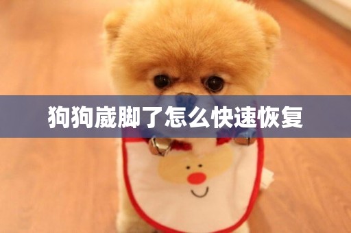 狗狗崴腳了怎么快速恢復