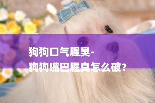 狗狗口氣腥臭-
狗狗嘴巴腥臭怎么破？