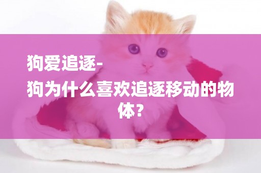 狗愛追逐-
狗為什么喜歡追逐移動的物體？