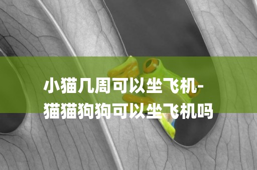 小貓幾周可以坐飛機-
貓貓狗狗可以坐飛機嗎