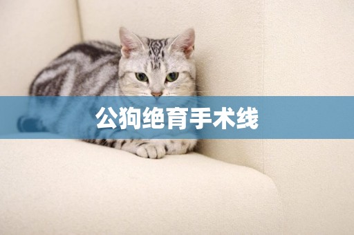 公狗絕育手術線