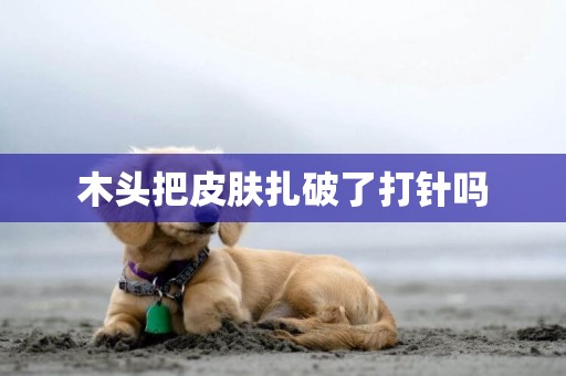 木頭把皮膚扎破了打針嗎