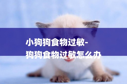 小狗狗食物過敏-
狗狗食物過敏怎么辦