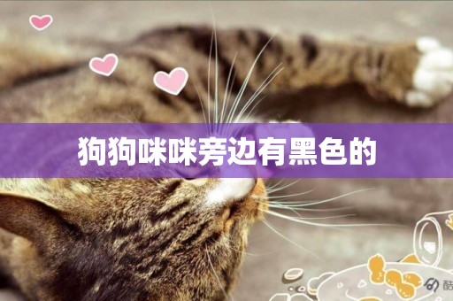 狗狗咪咪旁邊有黑色的