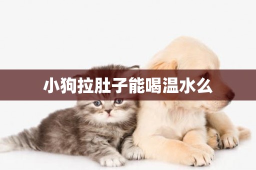 小狗拉肚子能喝溫水么