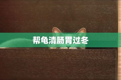 幫龜清腸胃過冬