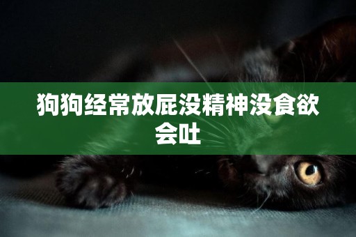狗狗經常放屁沒精神沒食欲會吐