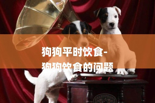 狗狗平時飲食-
狗狗飲食的問題